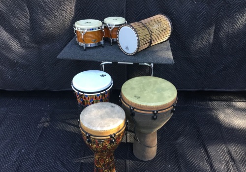 What Types of Musical Instruments are Popular in Boise, Idaho?